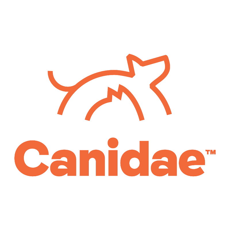 Canidae 卡比