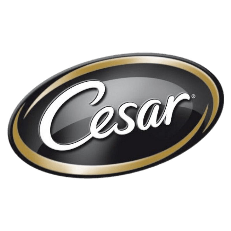 Cesar 西莎