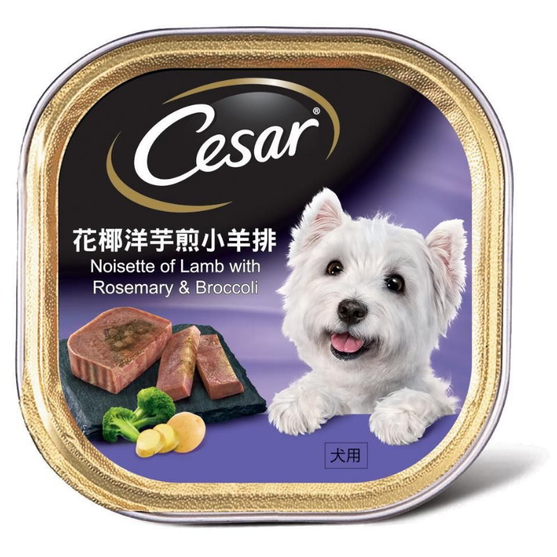 Cesar 西莎