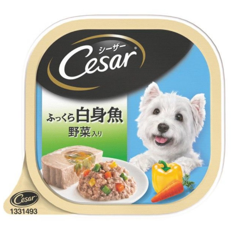 Cesar 西莎